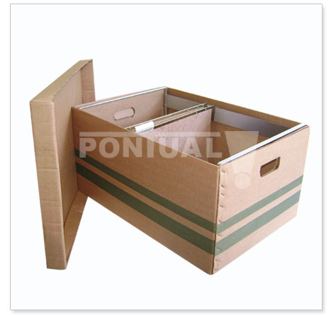 Caixa Arquivo Transfer-Box Evident