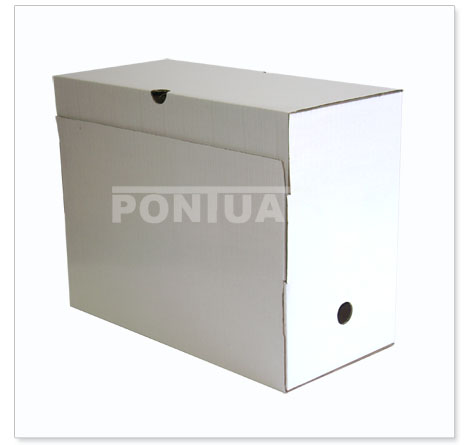 Caixa para Arquivo - Evident